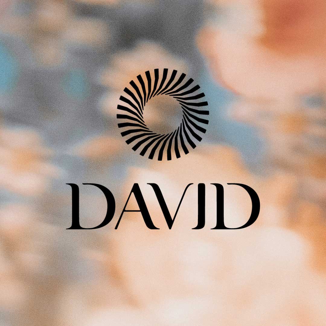 David Swimwear Brand Identity and Design